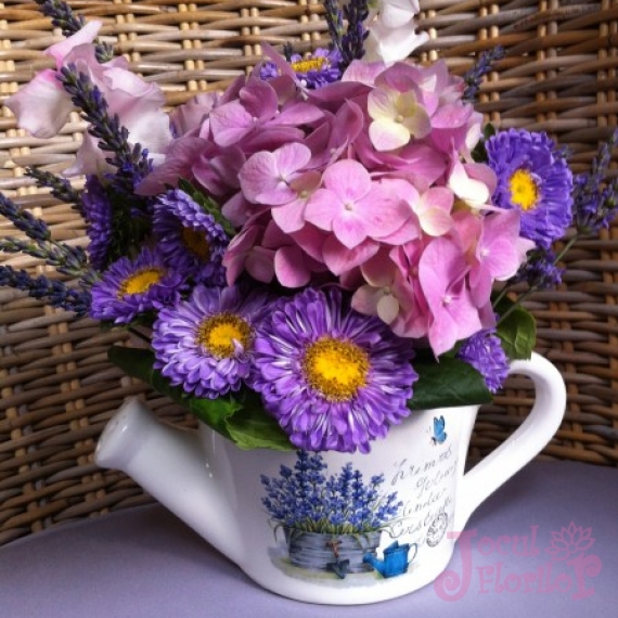 Ministropitoare cu flori