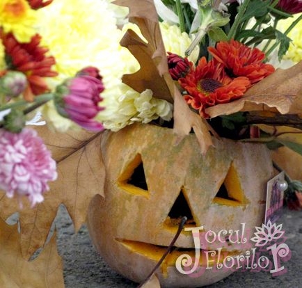 Adevarata fata a contelui Dracula