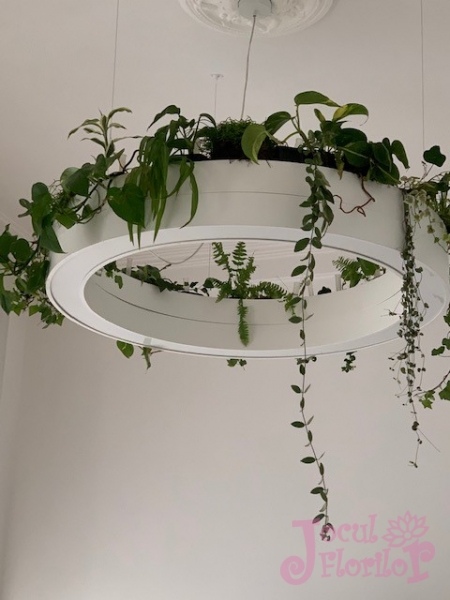 Creatii florale suspendate