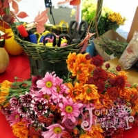 Adevarata fata a contelui Dracula