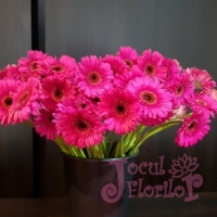 Banchet clasa a VIII-a