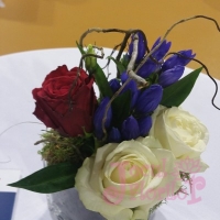 Eveniment Institutul de Fizica Atomica - Magurele