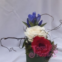 Eveniment Institutul de Fizica Atomica - Magurele