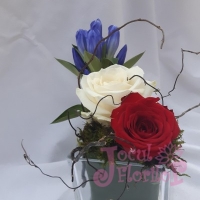 Eveniment Institutul de Fizica Atomica - Magurele