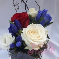 Eveniment Institutul de Fizica Atomica - Magurele