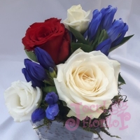 Eveniment Institutul de Fizica Atomica - Magurele