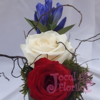 Eveniment Institutul de Fizica Atomica - Magurele