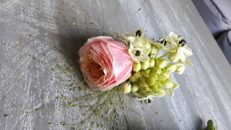 Cocarda mire roz cu alb