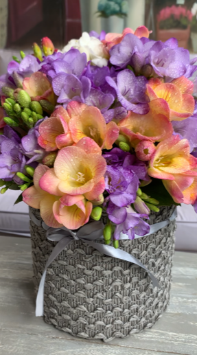 Cos cu frezii multicolore