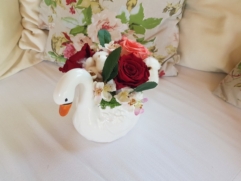 Lebada cu trandafiri