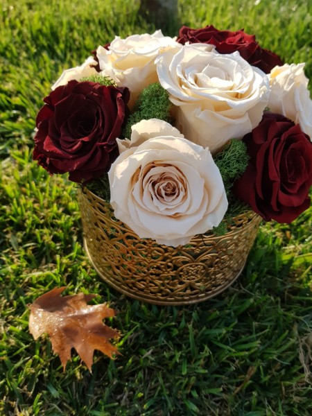 Vaza cu trandafiri criogenati